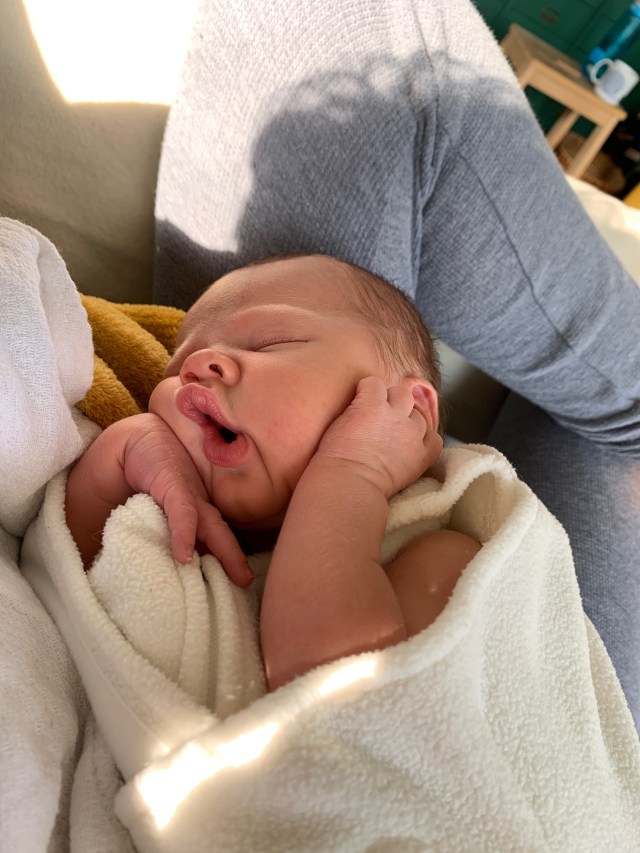 56442705371__3A09EFA2-2A81-4E13-9B14-2429D2D93F6B