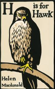 H is for Hawk Cover